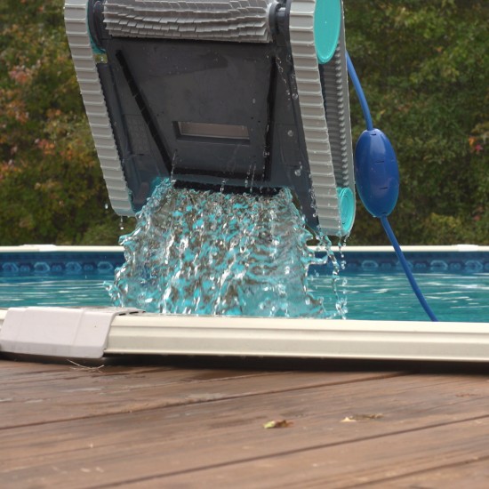 dolphin active 10 pool cleaner