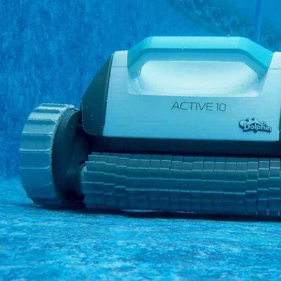 dolphin active 10 pool cleaner